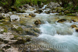 Clear cold alpine Lepenica river in Spring at Sunikov Vodni Gaj Nature Preserve in Triglav National Park Julian Alps Lepena Vall