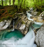 Green forest and pool in Spring at Lepenica river at Sunikov Vodni Gaj Nature Preserve in Triglav National Park Julian Alps Lepe