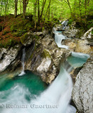 Green forest and emerald water at Lepenica river at Sunikov Vodni Gaj Nature Preserve in Triglav National Park Julian Alps Lepen