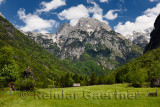 Alpine meadow in Trenta Slovenia with Pihavec and Triglav mountain peaks in Triglav National Park Julian Alps in Spring