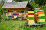 Colorful traditionally painted apiary beehive house and boxes at Kralov Med in Selo near Bled Slovenia in Spring