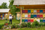 Local beekeeper Blaz Ambrozic with colorful traditionally painted apiary beehive houses at Kralov Med in Selo near Bled Slovenia