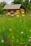 Colorful traditionally painted apiary beehive house at Kralov Med in Selo near Bled Slovenia with field of Spring wildflowers