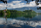 Waterlily pads floating on Lake Bled with Assumption of Mary church on Bled Island, Bled castle on cliff, St Martin church and K