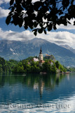 Paddleboarder on Lake Bled with Assumption of Mary church on Bled Island and St Martin church and Veliki Stol peak Karawanks mou