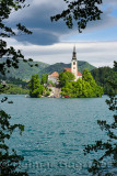 Bled Island with stairs to pilgrimage church of the Assumption of Mary framed by tree branches in turquoise Lake Bled Slovenia
