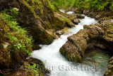 Clean rushing water of the Radovna river at the upper end of Vintgar Gorge Slovenia with wet limestone rocks and green forest