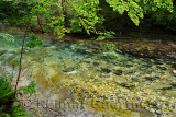 Clear clean green water of Radovna river in a Spring rain flowing over limestone rock at Vintgar Gorge Gorenjska region Slovenia