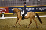 Esther Mortimer riding Diamond Geezer at Royal International Dressage Cup at Ricoh Coliseum Royal Horse Show Exhibition Place To