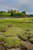 Salt marsh grass with Sea Thrift on shore of Sound of Mull with Aros Castle ruin on Isle of Mull Inner Hebrides Scotland UK