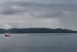 Tug boat pulling six fish farm cages along the Firth of Lorn between Isle of Mull and west coast Highlands of Scotland UK