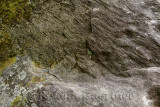 Smooth wavy sedimentary layers on rock at the foot of Ben Nevis mountain Steall Gorge Scottish Highlands Scotland UK