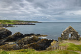 Orange Lichen on weathered quartzite with Clifftop Ruin wall on coast of North Sea Moray Firth at Portsoy Scotland UK