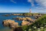 Rocks at Buchan Ness headland with lighthouse and Queen Annes Lace flowers at Boddam Aberdeenshire Scotland UK on the North Sea