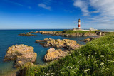 Rocks at Buchan Ness headland with red and white lighthouse at Boddam Aberdeenshire Scotland UK on the North Sea east coast