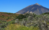 Volcano Teide -3