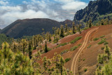 Parc National de Teide