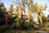 Orto Botanico di Brera - 1085