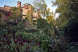 Orto Botanico di Brera - 1088