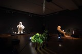 Stefan Tcherepnin: The Mad Masters” Exhibit - 4277