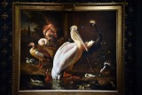 A Pelican and other Birds Near a Pool. The Floating Feather (1680) - Melchior d'Hondecoeter - 5265