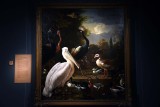 Birds in a Park (1680) - Melchior d'Hondecoeter - 5269