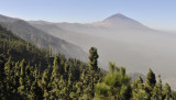 Teide