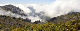 High altitude Madeira.2.jpg