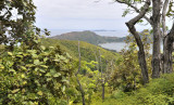 Praslin lookout.