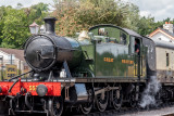 Steam trains at Buckfastleigh