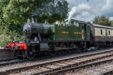 Steam trains at Buckfastleigh