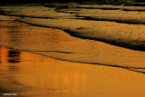models in the beach