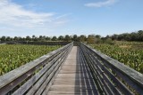 Green Cay Wetlands