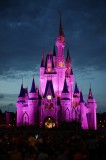 Castle at night