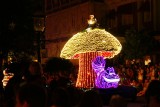 Main Street Electrical Parade