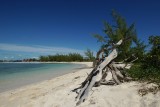 Shores of Princess Cay