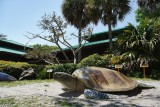 Gumbo Limbo Nature Center