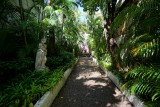 Beautifully landscaped alley in Charlotte Amalie