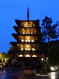 Pagoda in Japan at blue hour