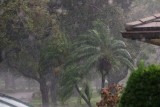 Hurricane Irma