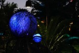 Pandora scenery - night
