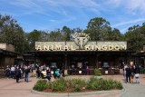 Animal Kingdom entrance gates