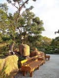 Morikami Gardens bench