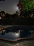 Backyard and pool by moonlight