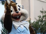 Chip has the black nose!