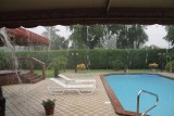 Rain in the backyard