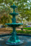 Savannah 20180219_0393.jpg