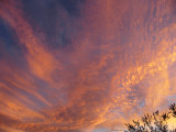 Tapestry of Clouds