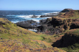 Blowhole Low Tide