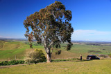 View from Jumbunna Lookout